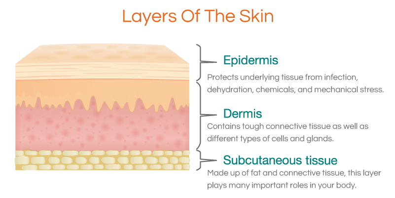 diagram showing layers of the skin associated with tattoos - epidermis, dermis and subcutaneous layer