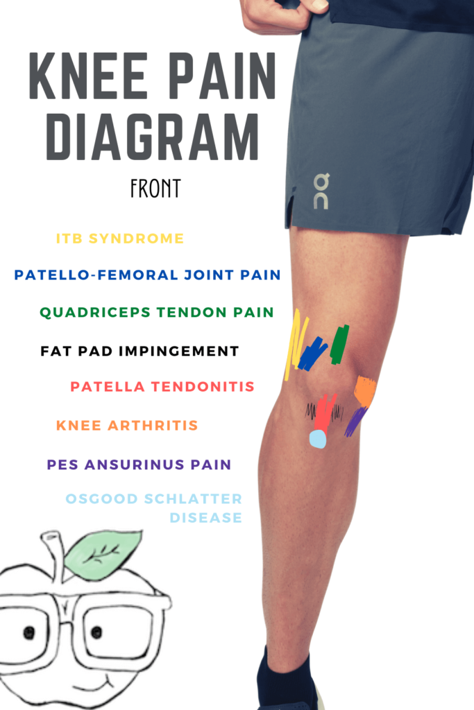 Knee pain causes